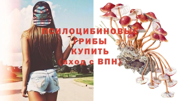 mix Алексеевка