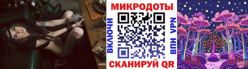 Галлюциногенные грибы Cubensis Губаха