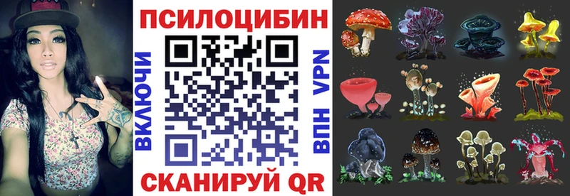 Галлюциногенные грибы Psilocybe  Купить  Губаха 